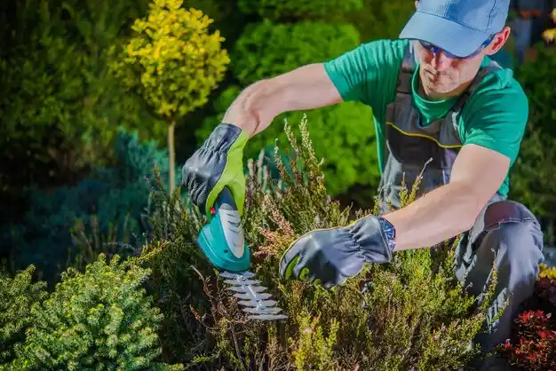 landscaping services New Lothrop